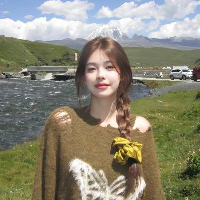 圣诞王子：皇室婚礼
